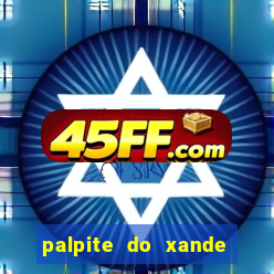 palpite do xande para hoje